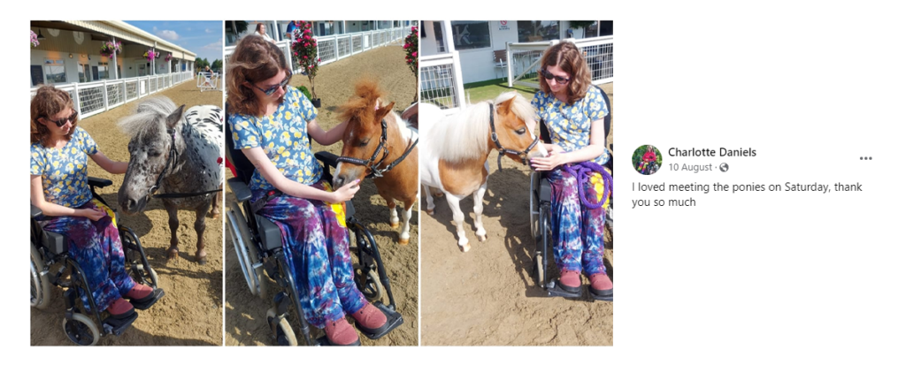 Charlotte Daniels - I loved meeting the ponies on Saturday, thank you so much