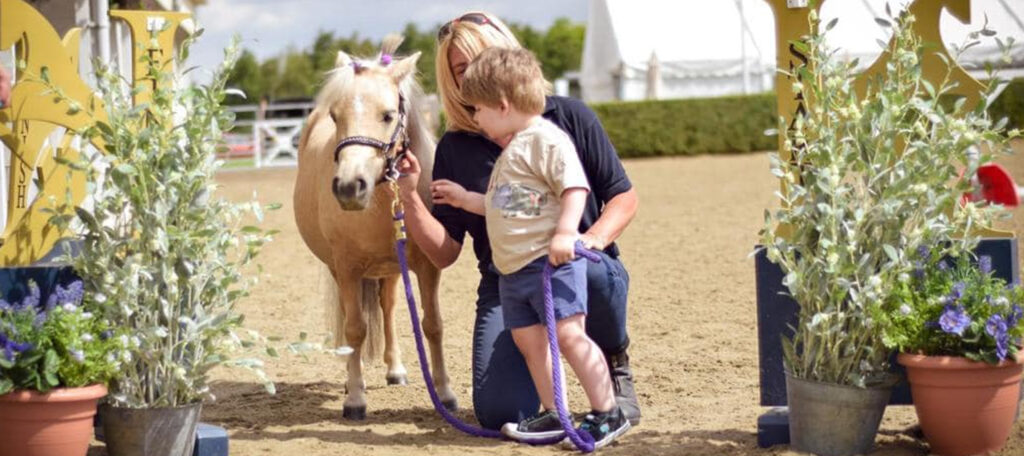 A little boy meets a pony