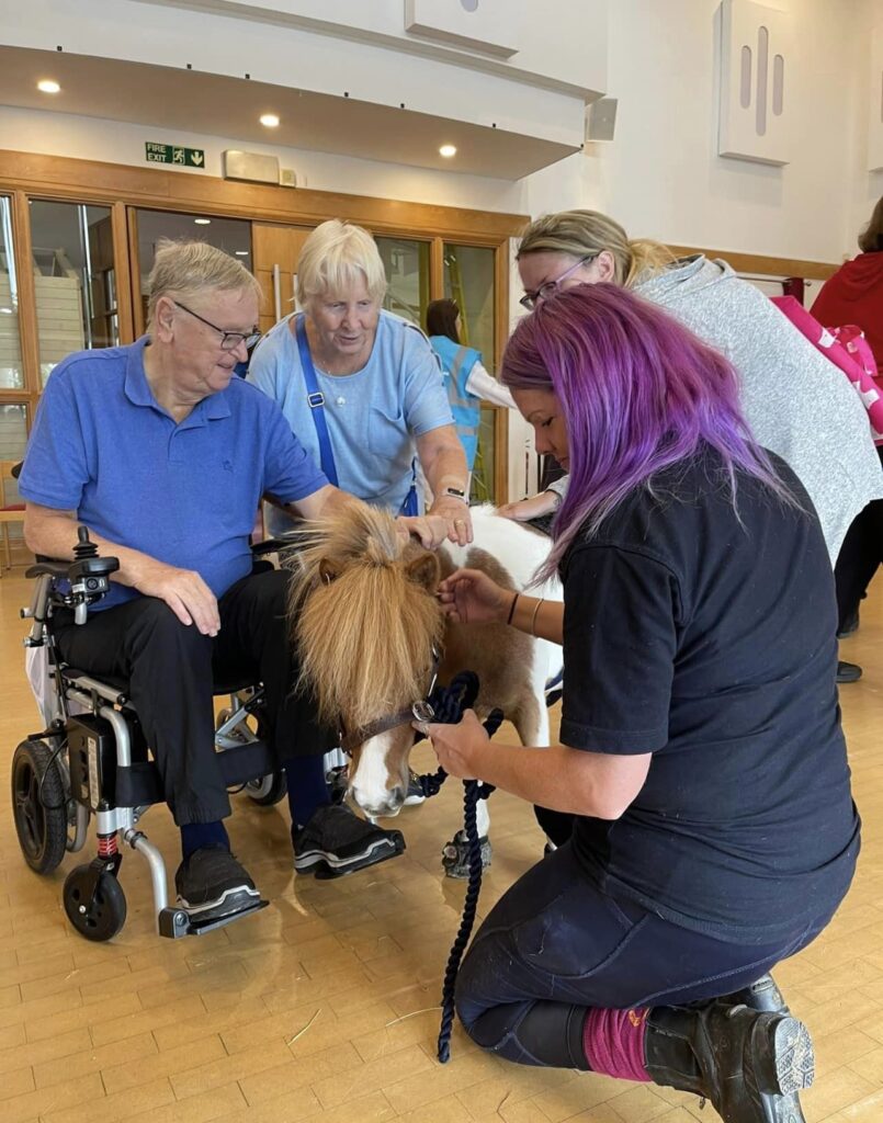 Care home residents visited by a pony