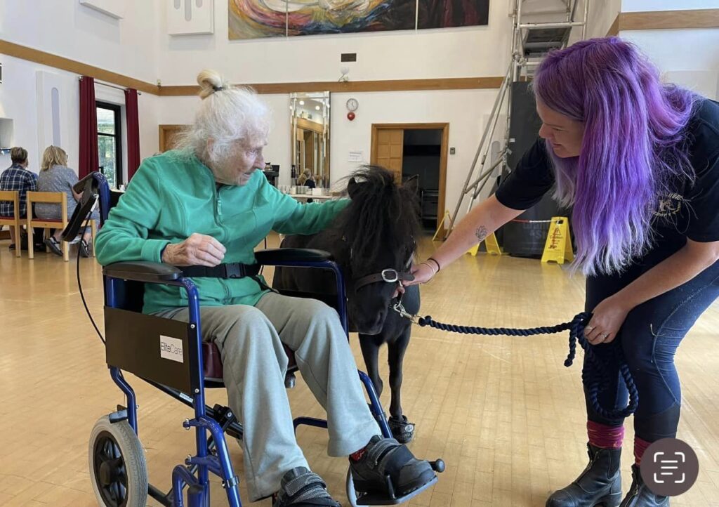 Older lady in a wheelchair being visited by a therapy pony