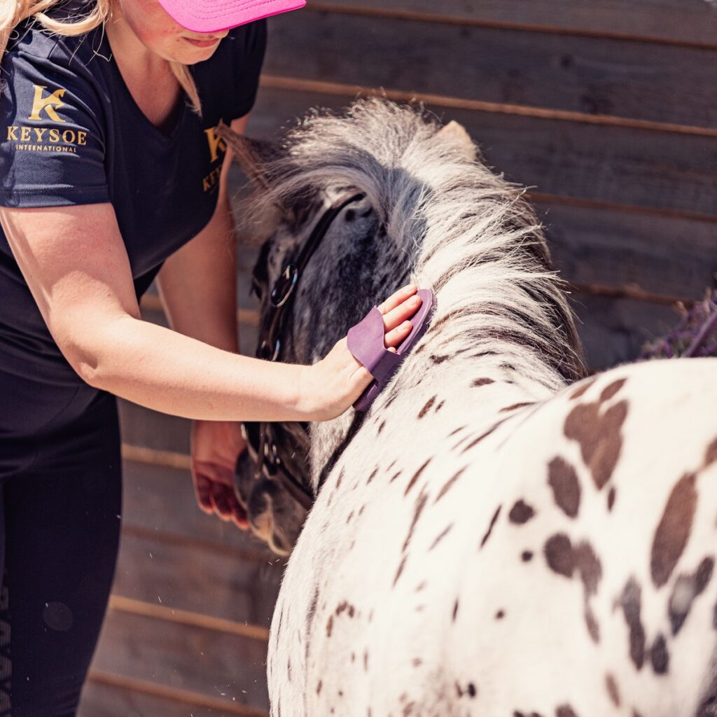 A woman grooming a pony