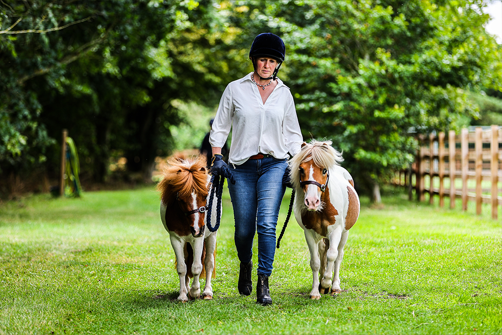 Woman walking two ponies