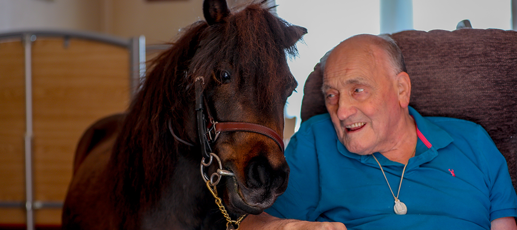 Retired man sitting with a brown pony